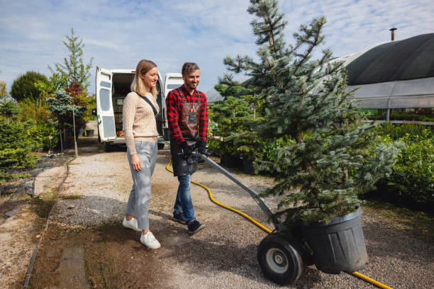 Tree Removal for Businesses in Mount Pocono, PA